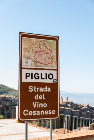 チェーザネーゼ・デル・ピーリオ (Cesanese del Piglio)